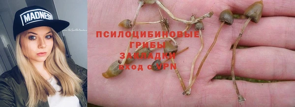 apvp Лихославль