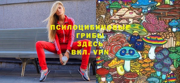ГАЛЛЮЦИНОГЕННЫЕ ГРИБЫ Лиски