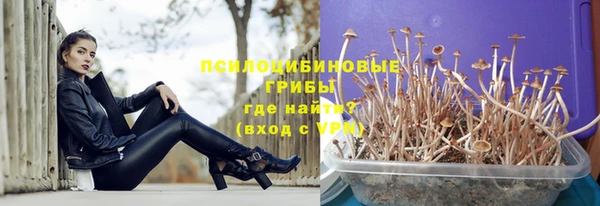 ГАЛЛЮЦИНОГЕННЫЕ ГРИБЫ Лиски