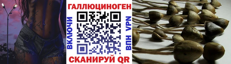 где можно купить   Балаково  Галлюциногенные грибы Magic Shrooms 